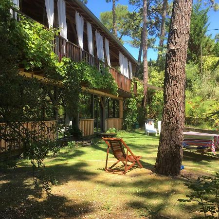 La Maison Face Au Port Lège-Cap-Ferret Eksteriør billede